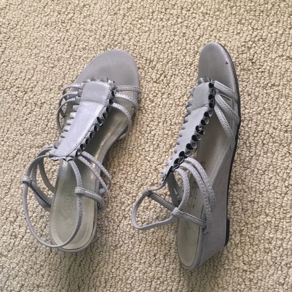 Silver wedges
